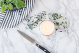 Fresh Cut Herbs 16 oz Candle